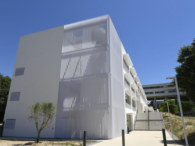 Restructuration and Rehabilitation of the Ecole Centrale Pier Building in Marseille